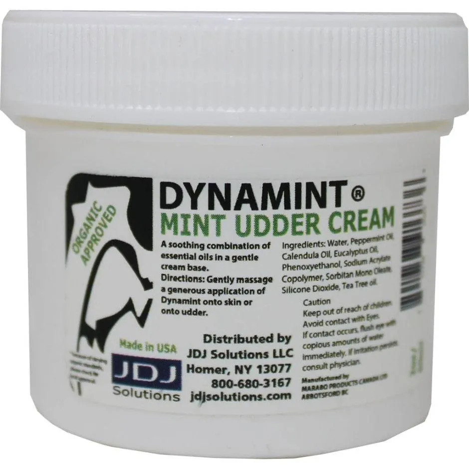 Dynamint Jar